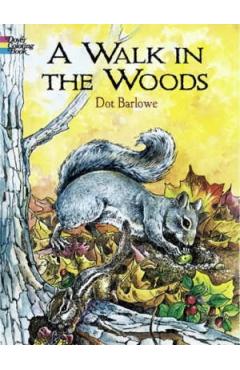 Walk in the Woods Coloring Book - Dorothea Barlowe