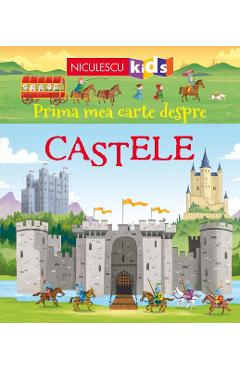 Prima mea carte despre castele - Abigail Wheatley