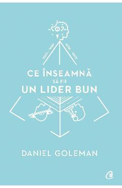 Ce inseamna sa fii un lider bun - Daniel Goleman