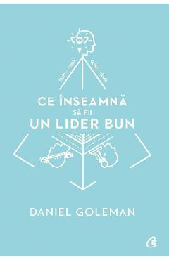 Ce Inseamna Sa Fii Un Lider Bun - Daniel Goleman