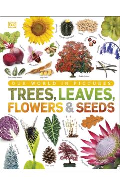 Trees, Leaves, Flowers & Seeds