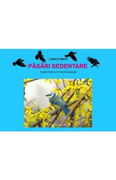 Pasari sedentare - Planse - Luminita Mihoc