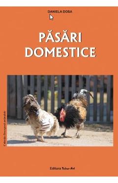 Pasari domestice - Daniela Dosa