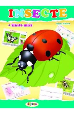 Insecte (mapa) - Inesa Tautu - DORINTA