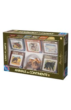 Animale din continente: Set carti pliante si figurine
