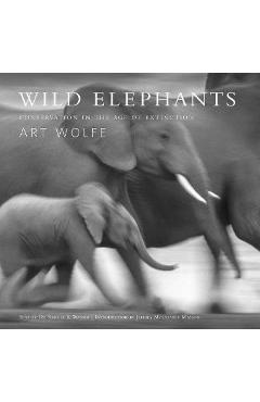 Wild Elephants - Samuel Wasser