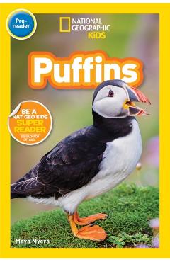Puffins (Pre-Reader) -