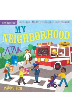Indestructibles: In My Neighborhood - Amy Pixton