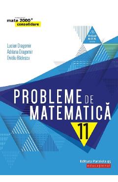 Probleme de matematica. Consolidare - Clasa 11 - Lucian Dragomir
