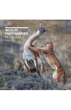 Wildlife Photographer of the Year: Portfolio 29 -