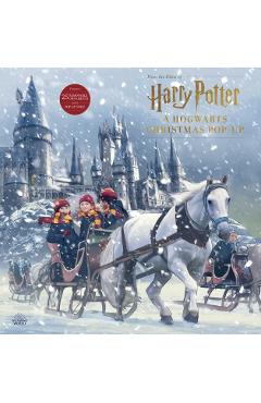 Harry Potter: A Hogwarts Christmas Pop-Up - Insight Editions