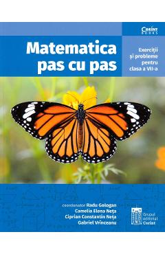 Matematica Pas Cu Pas - Clasa 7 - Radu Gologan