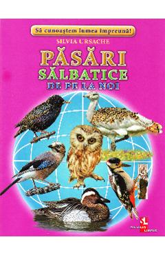 Pasari salbatice de pe la noi - Cartonase - Silvia Ursache