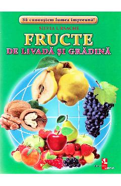 Fructe de livada si gradina – Cartonase – Silvia Ursache atlase