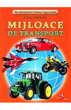 Mijloace de transport - Cartonase - Silvia Ursache