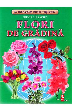 Flori de gradina - Cartonase - Silvia Ursache