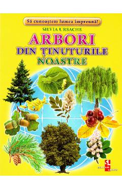 Arbori din tinuturile noastre - Cartonase - Silvia Ursache - SILVIUS LIBRIS