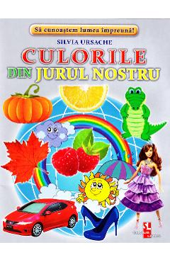 Culorile din jurul nostru - Cartonase - Silvia Ursache