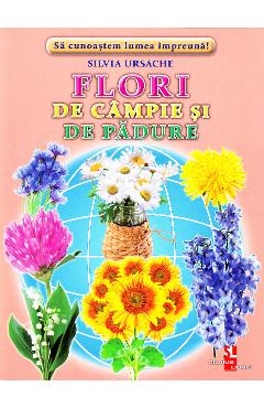 Flori de campie si de padure – Cartonase – Silvia Ursache atlase