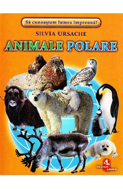 Animale polare - Cartonase - Silvia Ursache