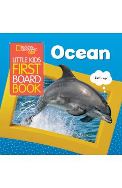 Ocean -