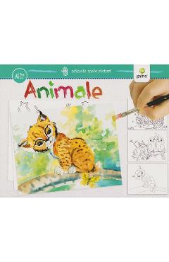 Primele mele picturi. Animale - GAMA