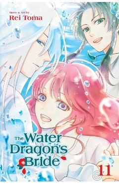 Water Dragon's Bride, Vol. 11 - Rei Toma