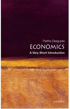 Economics: A Very Short Introduction