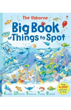 Big Book of Things to Spot - Ruth Brocklehurst