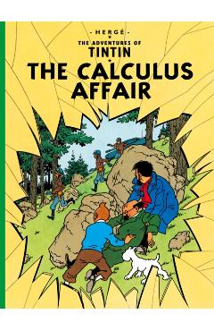 Calculus Affair