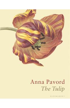 Tulip - Anna Pavord