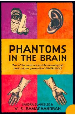 Phantoms in the Brain