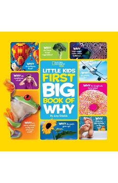 Big Book of Why