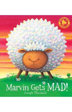 Marvin Gets Mad!