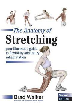 Anatomy of Stretching
