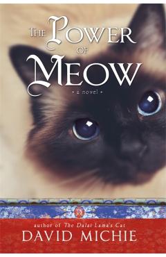Power of Meow