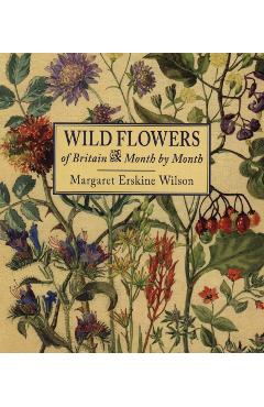 Wild Flowers of Britain