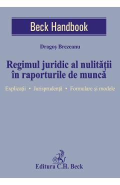 Regimul juridic al nulitatii in raporturile de munca - Dragos Brezeanu