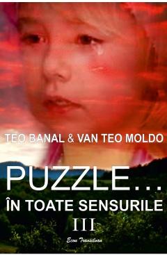Puzzle… in toate sensurile Vol. 3 – Teo Banal, Van Teo Moldo Banal