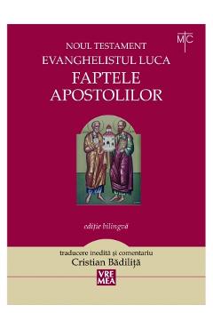 Faptele apostolilor - Evanghelistul Luca. Noul Testament - Cristian Badilita