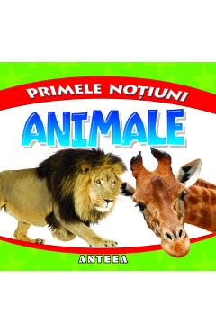 Primele notiuni: Animale