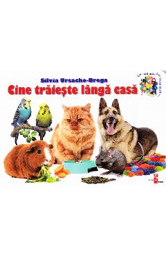 Cine traieste langa casa - Silvia Ursache-Brega