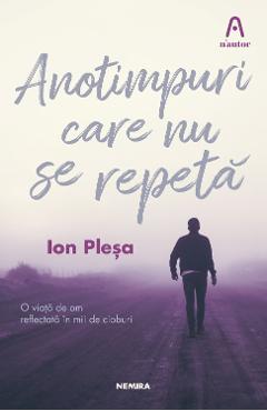 Anotimpuri care nu se repeta - Ion Plesa