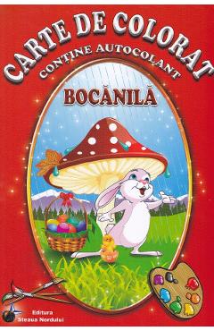 Carte de colorat - Bocanila - STEAUA NORDULUI