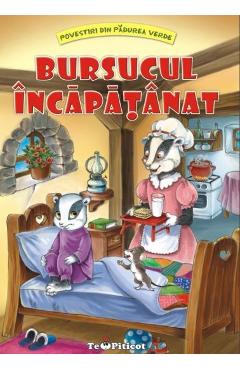 Bursucul incapatanat - Claudia Cojocaru