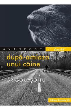 Dupa-amiaza unui caine - Grigore Soitu