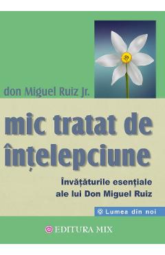 Mic tratat de intelepciune - Don Miguel Ruiz Jr.