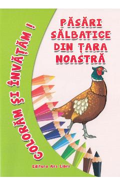 Pasari salbatice din tara noastra - Coloram si invatam!
