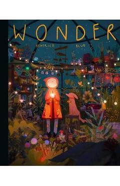 Wonder -