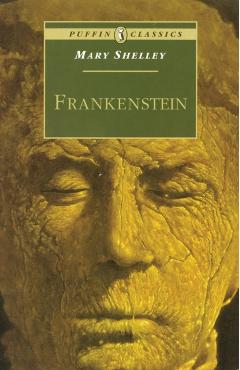 Frankenstein - Mary Shelley - Imagine 1